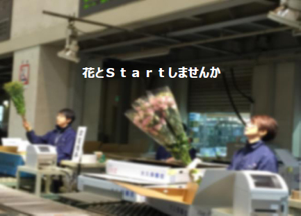 rec1